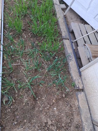 전희분님의 농사, 무엇이든 물어보세요! · 참여글 작성글 사진