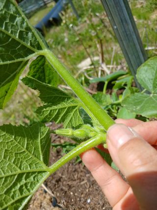 산성골농장님의 자유주제 · 자유게시판 작성글 사진