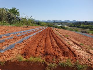 마바리63님의 자유주제 · 자유게시판 작성글 사진