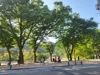 조상희님의 자유주제 · 자유게시판 작성글 사진