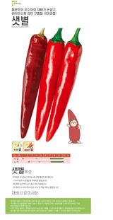 팜모닝 자유주제·자유게시판 게시글 이미지