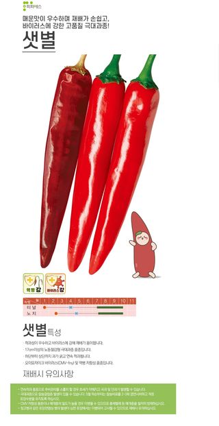 왕코네농장님의 자유주제 · 자유게시판 작성글 사진