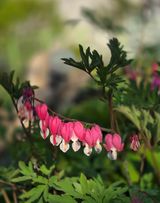 팜모닝 자유주제·자유게시판 게시글 이미지