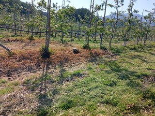 알 수 없음님의 자유주제 · 자유게시판 작성글 사진
