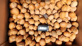 도기백님의 자유주제 · 자유게시판 작성글 사진