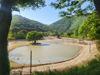 조상희님의 자유주제 · 자유게시판 작성글 사진