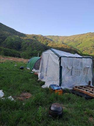 고산국토사랑풀뽑기님의 자유주제 · 자유게시판 작성글 사진