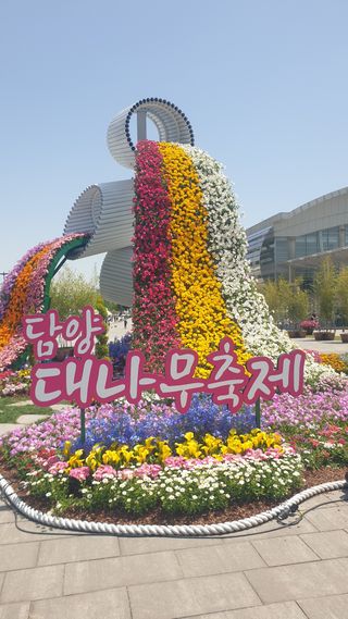 마늘양파참님의 자유주제 · 자유게시판 작성글 사진