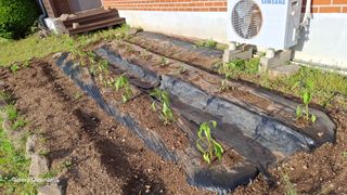 민환기님의 자유주제 · 자유게시판 작성글 사진