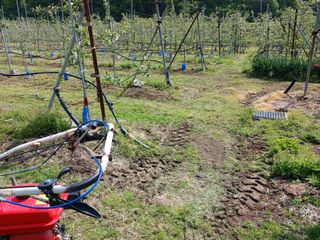 알 수 없음님의 자유주제 · 자유게시판 작성글 사진