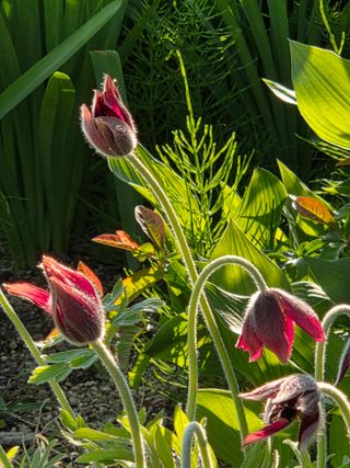 최동수님의 자유주제 · 자유게시판 작성글 사진