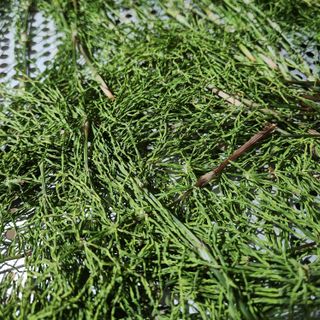 조한솔님의 작성글 사진