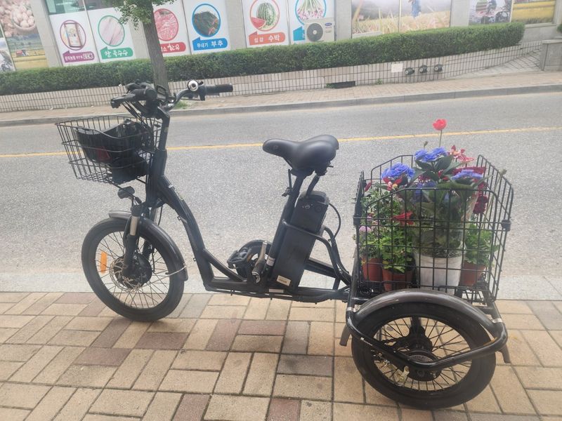 지구별나여사님의 장터 판매 상품 [삼천리 세발 전기 자전거] 첨부 사진