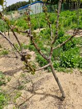 팜모닝 자유주제·자유게시판 게시글 이미지