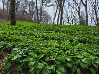 허상원 님의 자유주제 · 자유게시판 작성글 사진