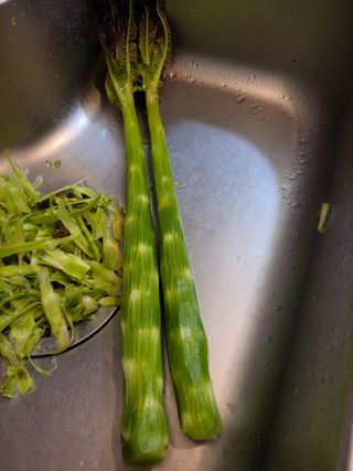 원빈님의 자유주제 · 자유게시판 작성글 사진