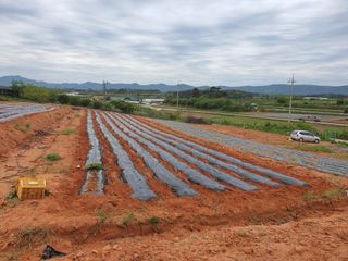 마바리63님의 자유주제 · 자유게시판 작성글 사진