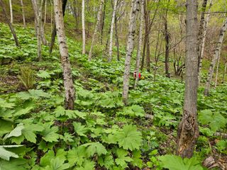 김시헌 님의 작성글 사진
