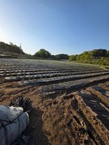 팜모닝 자유주제·사진전 게시글 이미지