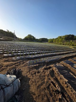 행운농부님의 자유주제 · 사진전 작성글 사진