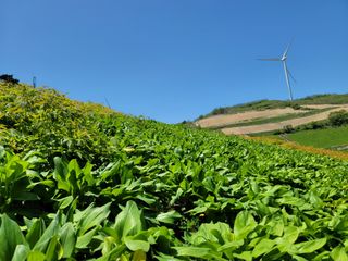 김봉래님의 자유주제 · 자유게시판 작성글 사진