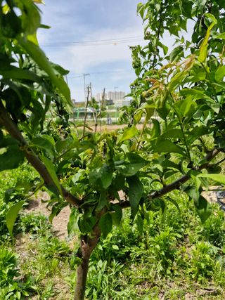 종이박님의 자유주제 · 자유게시판 작성글 사진