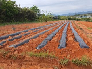 마바리63님의 자유주제 · 자유게시판 작성글 사진