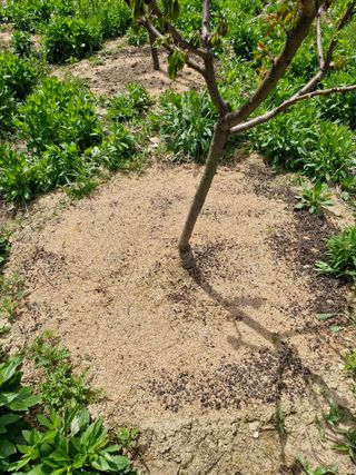 종이박님의 자유주제 · 자유게시판 작성글 사진