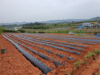 마바리63님의 자유주제 · 자유게시판 작성글 사진