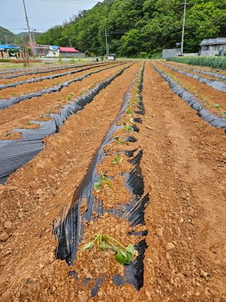 osm님의 자유주제 · 자유게시판 작성글 사진