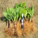 팜모닝 자유주제·자유게시판 게시글 이미지