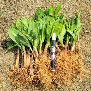 김봉래님의 자유주제 · 자유게시판 작성글 사진