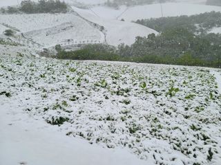 김봉래님의 자유주제 · 자유게시판 작성글 사진