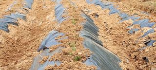 한성님의 자유주제 · 자유게시판 작성글 사진