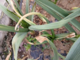 최남옥님의 자유주제 · 자유게시판 작성글 사진