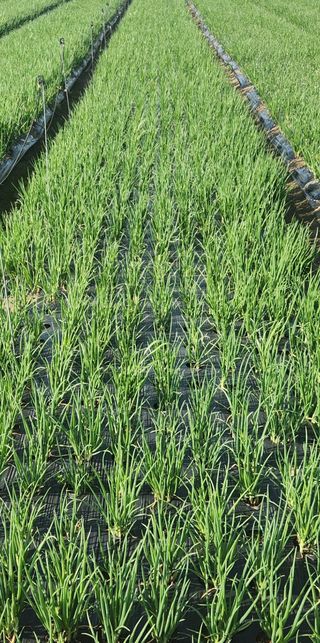 갑돌이님의 자유주제 · 자유게시판 작성글 사진