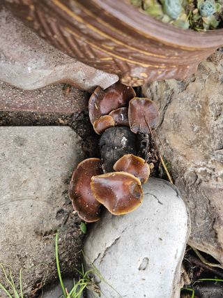 전복수님의 자유주제 · 자유게시판 작성글 사진