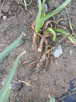 최남옥님의 자유주제 · 자유게시판 작성글 사진