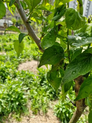 종이박님의 자유주제 · 자유게시판 작성글 사진