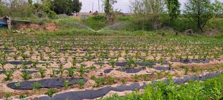 한성님의 자유주제 · 자유게시판 작성글 사진