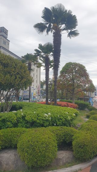 마늘양파참님의 자유주제 · 자유게시판 작성글 사진