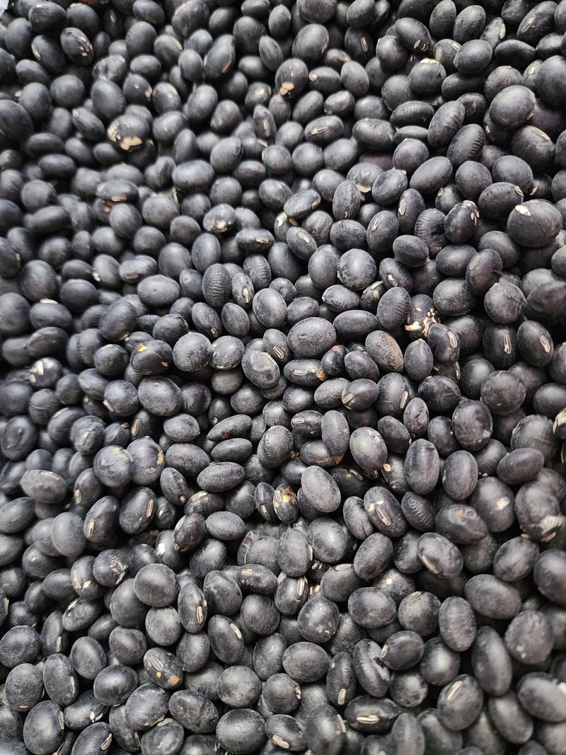 농부 임성훈님의 장터 판매 상품 [서리태 1kg] 첨부 사진