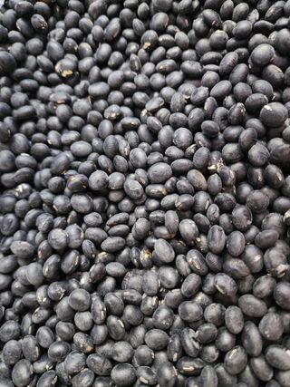 농부 임성훈님의 작성글 사진