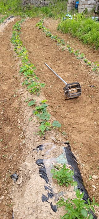 한성님의 자유주제 · 자유게시판 작성글 사진
