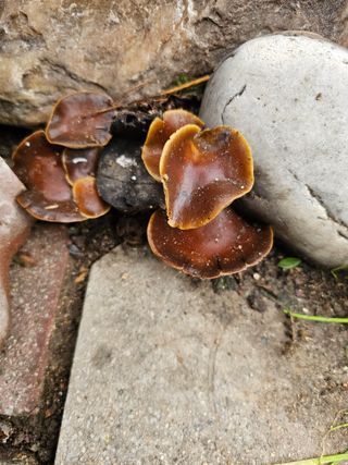 전복수님의 자유주제 · 자유게시판 작성글 사진