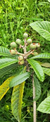 팜모닝 자유주제·자유게시판 게시글 이미지