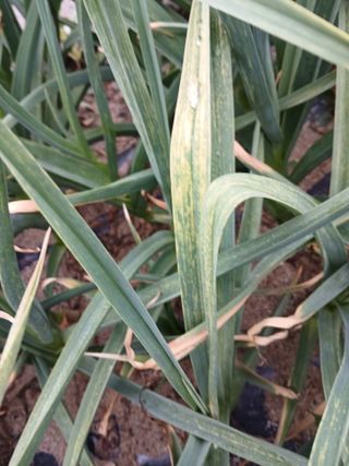 최남옥님의 자유주제 · 자유게시판 작성글 사진