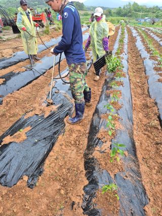 김영진(전남영광)님의 자유주제 · 자유게시판 작성글 사진