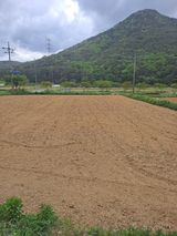 팜모닝 자유주제·자유게시판 게시글 이미지