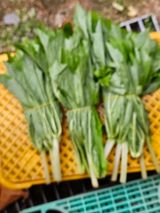 팜모닝 · 게시글 이미지